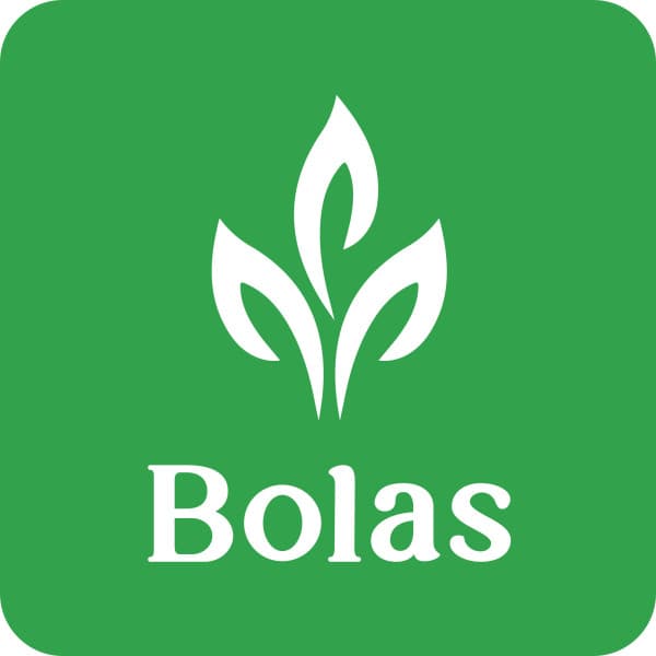 Bolas