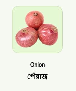 Onion