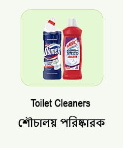 Toilet Cleaner