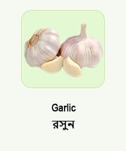Garlic