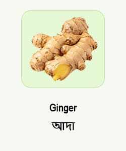 Ginger