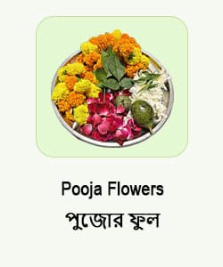 Pooja Flower & Related Items