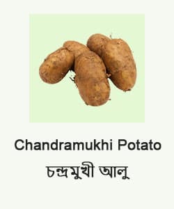 Chandramukhi Potato