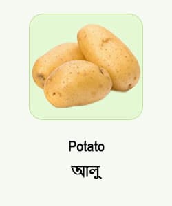 Potato