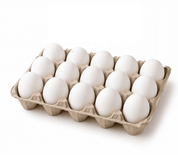 Eggs – Table Tray / ডিমের ট্রে
